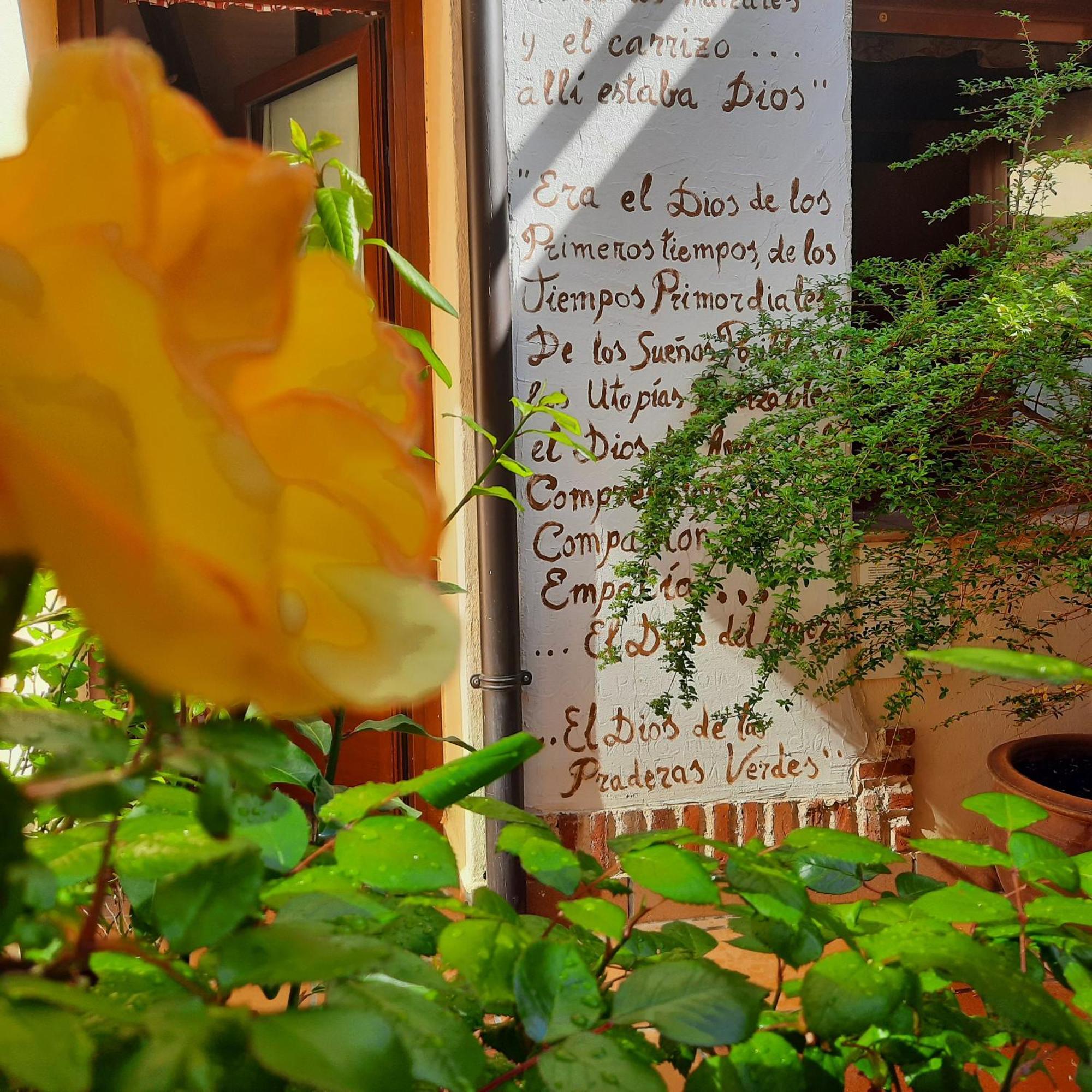 Beautiful Alamedas - Una Casa Rural Con Una Historia Unica Castronuno Εξωτερικό φωτογραφία
