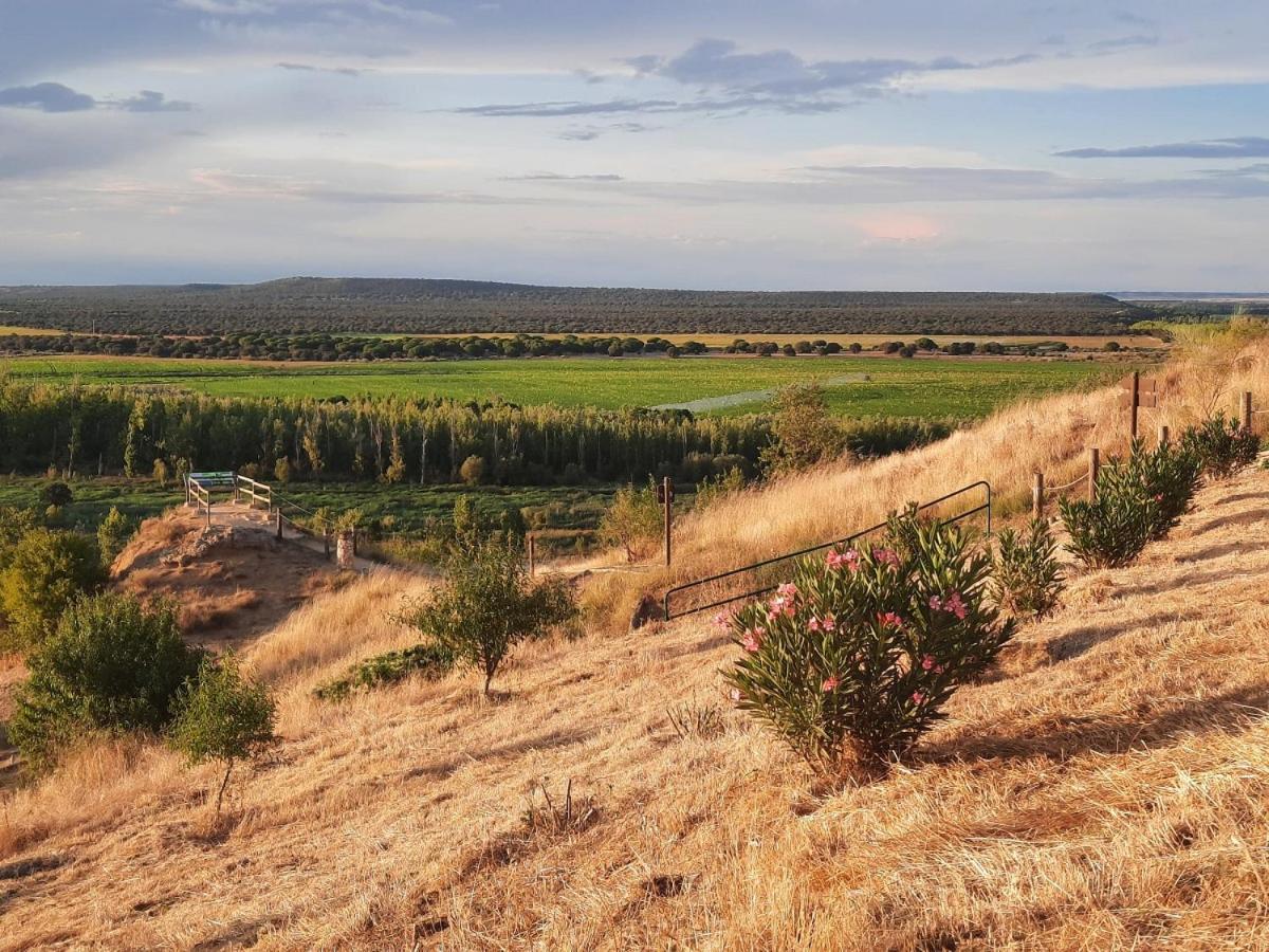Beautiful Alamedas - Una Casa Rural Con Una Historia Unica Castronuno Εξωτερικό φωτογραφία