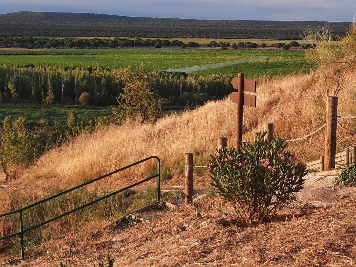 Beautiful Alamedas - Una Casa Rural Con Una Historia Unica Castronuno Εξωτερικό φωτογραφία